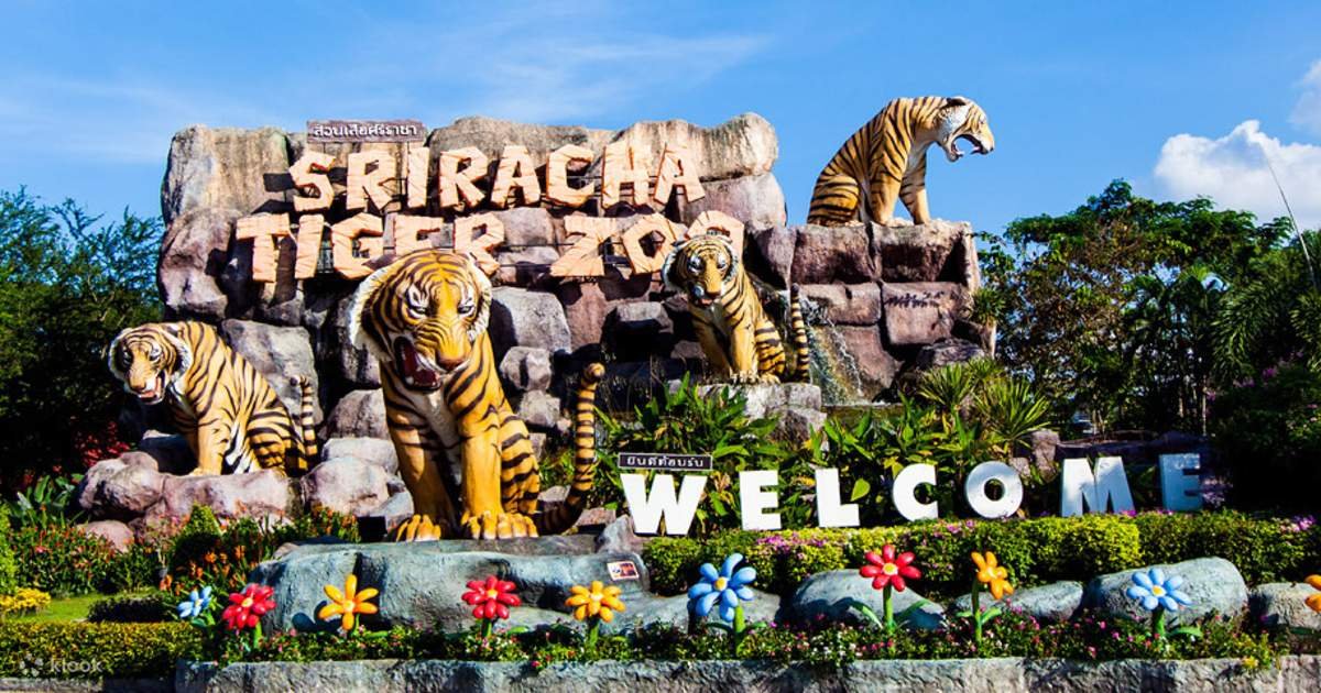 Tiger Topia Sriracha Zoo